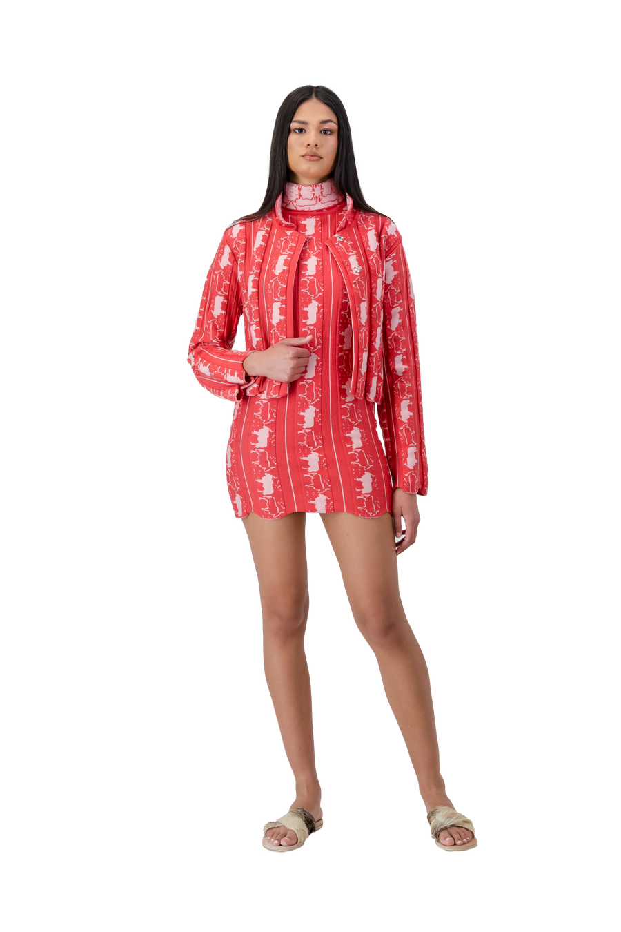 Bull Motif Jacket Cherry