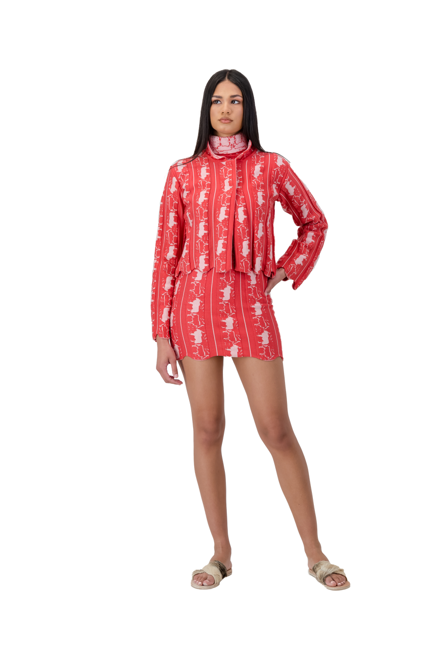 Bull Motif Jacket Cherry