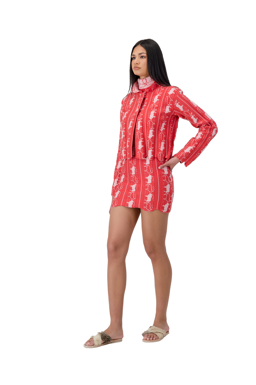 Bull Motif Mini Dress Cherry