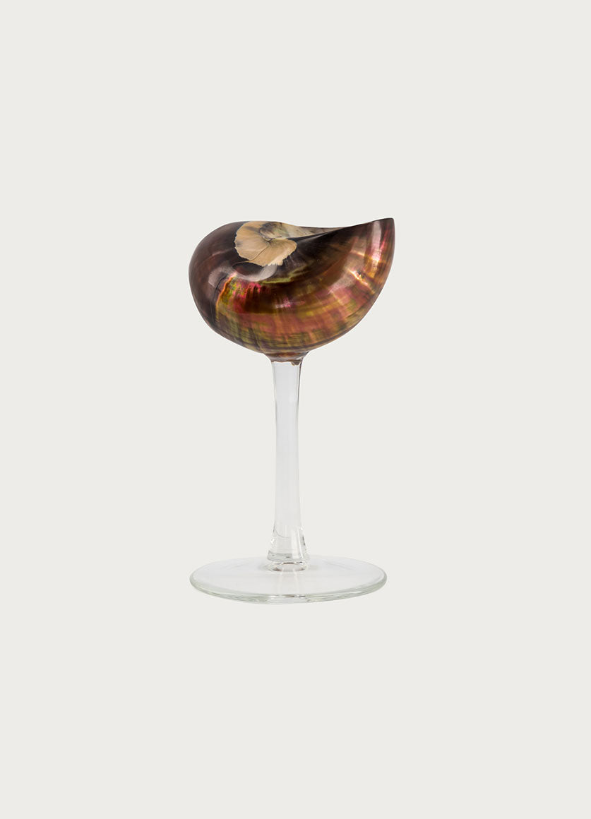 Siren Glass Copper