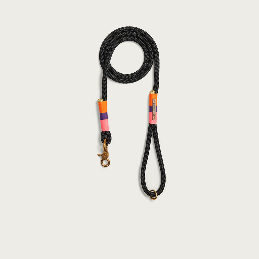 Standard Leash