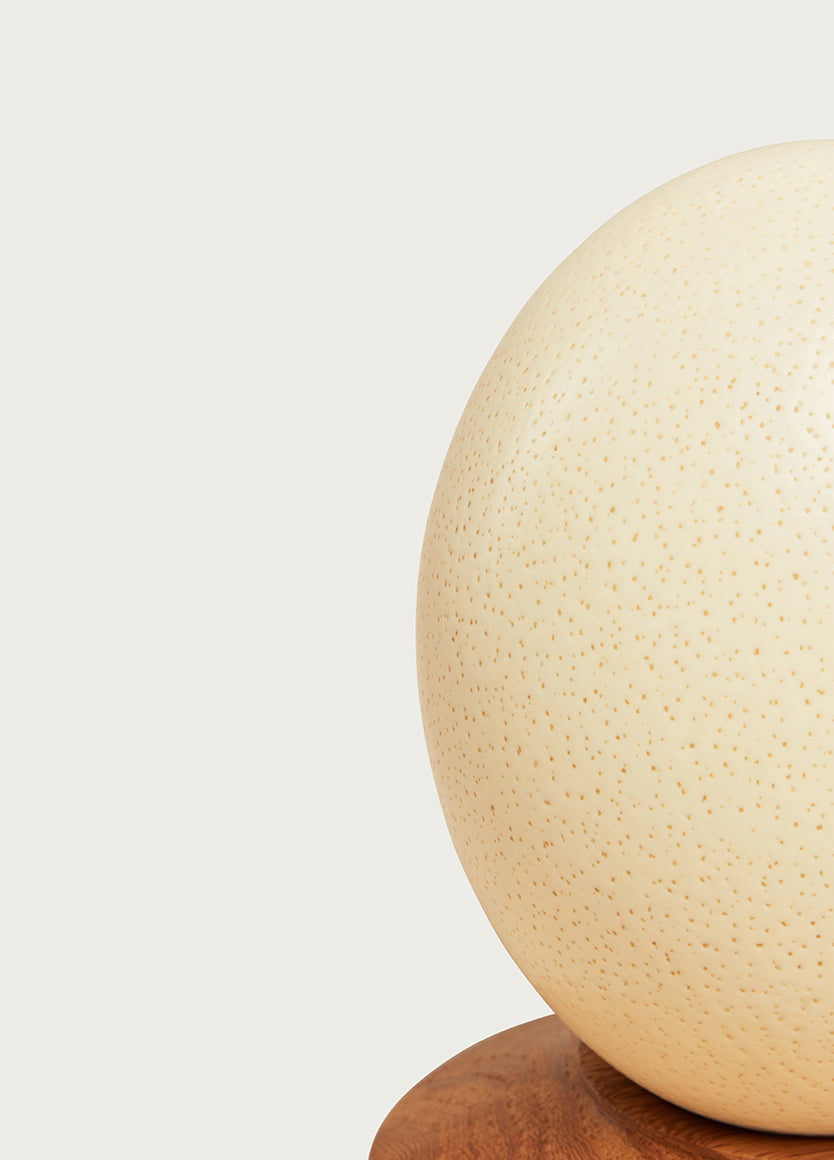 Plain Egg