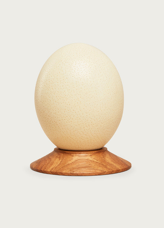 Plain Egg